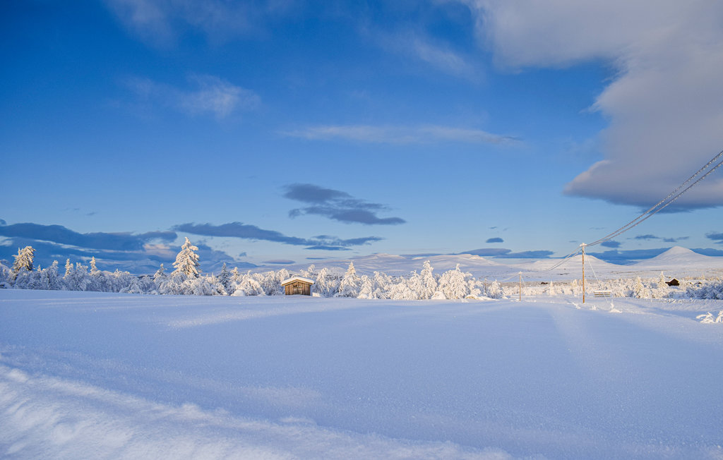 Ferienhaus - Venabygdsfjellet/Ringebu , Norwegen - N31355 21