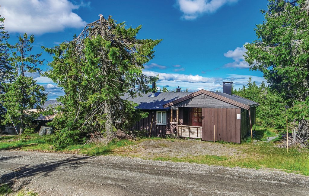 Semesterhus - Sjusjøen , Norge - N31997 1