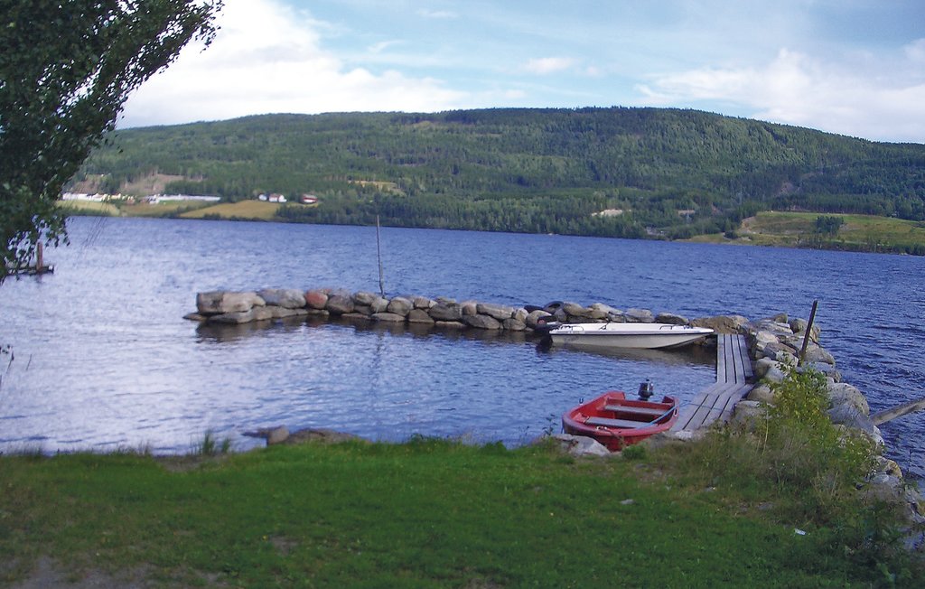 Feriehus - Randsfjorden/Ringelia , Norge - N31204 10