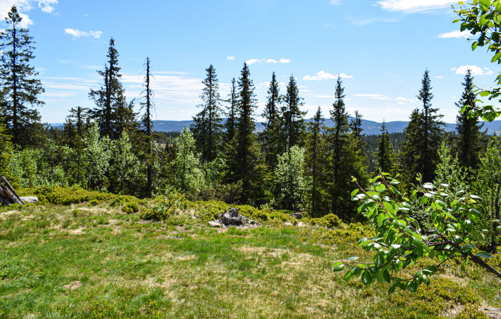 Ferienhaus - Nord Torpa , Norwegen - N31610 9