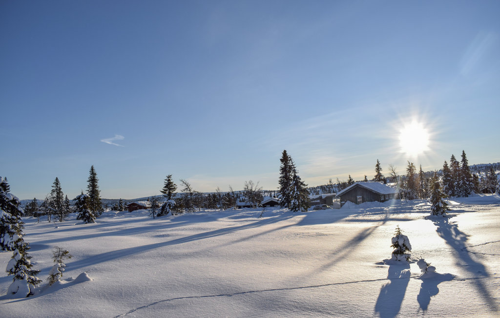 Feriehuse - Sjusjøen , Norge - N31912 14
