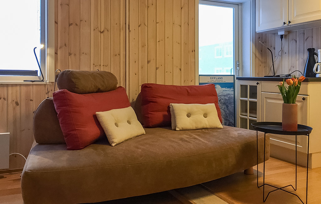 Ferienwohnung - Nordseter/Lillehammer/Sjusjøen , Norwegen - N31419 4