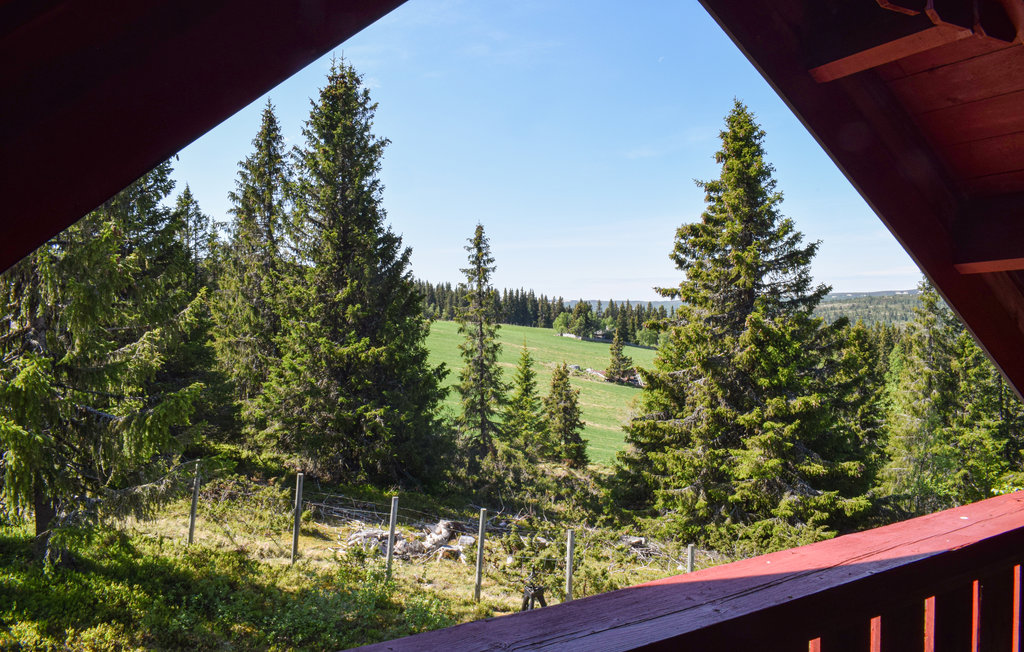 Feriehuse - Sør-Fron , Norge - N31504 7