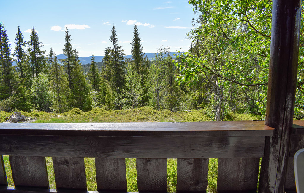 Ferienhaus - Nord Torpa , Norwegen - N31610 10