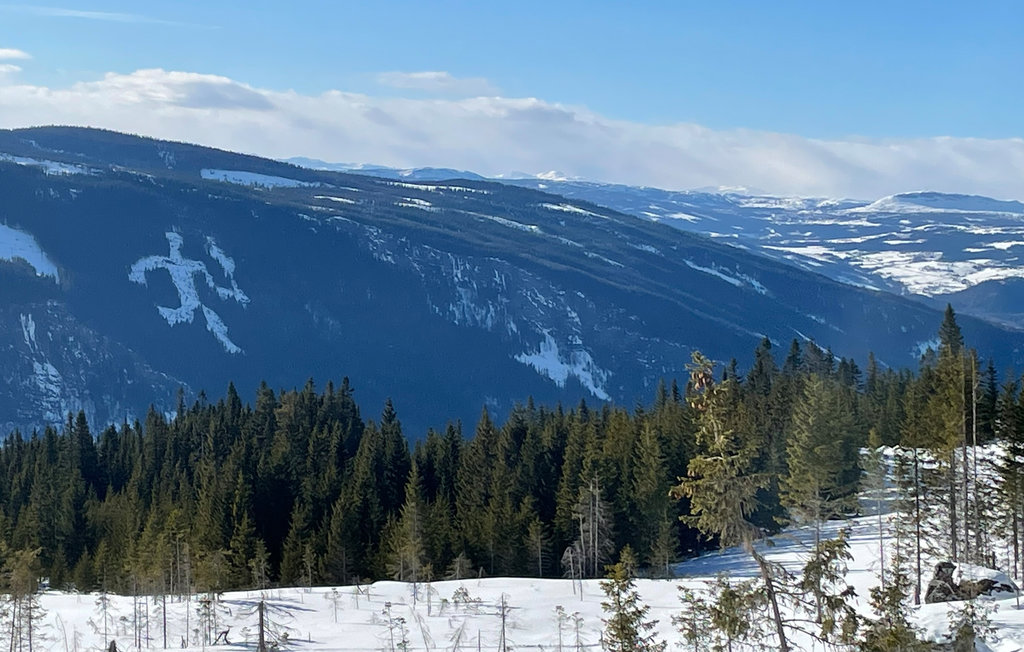 Ferienwohnung - Hafjell , Norwegen - N31622 7