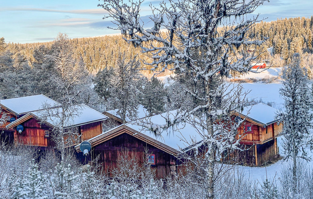 Feriehuse - Ringebu , Norge - N31862 13