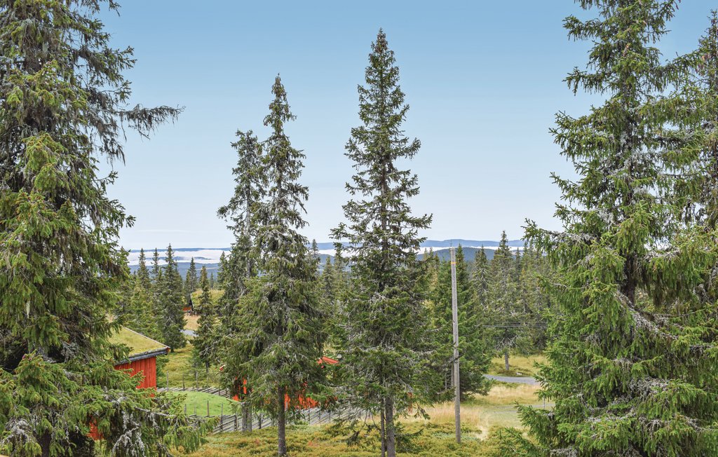 Feriehuse - Sjusjøen , Norge - N31923 4