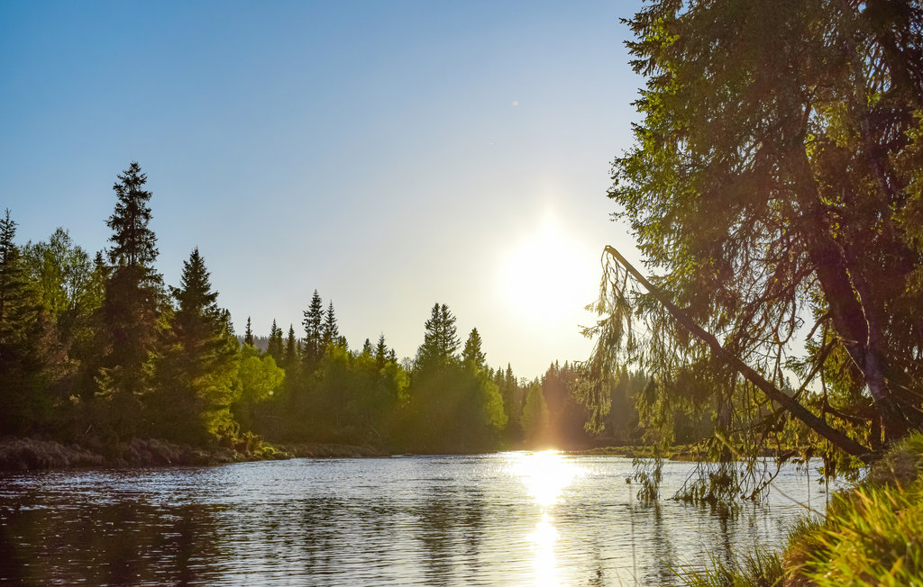 Feriehuse - Sjusjøen , Norge - N31892 14