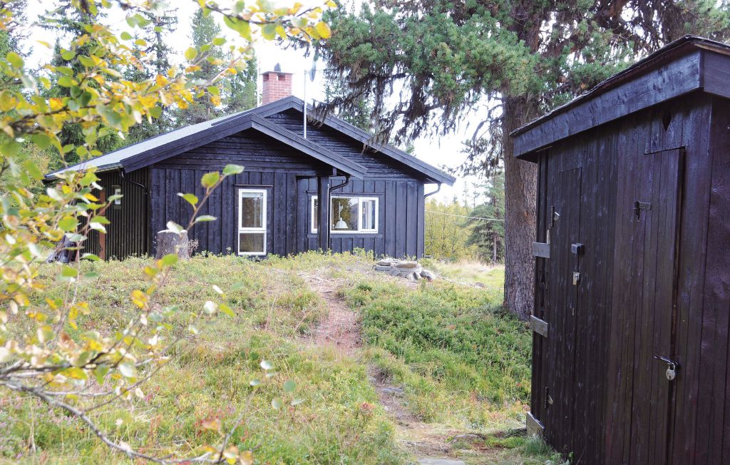Semesterhus - Vinstra/Fefor , Norge - N31215 12