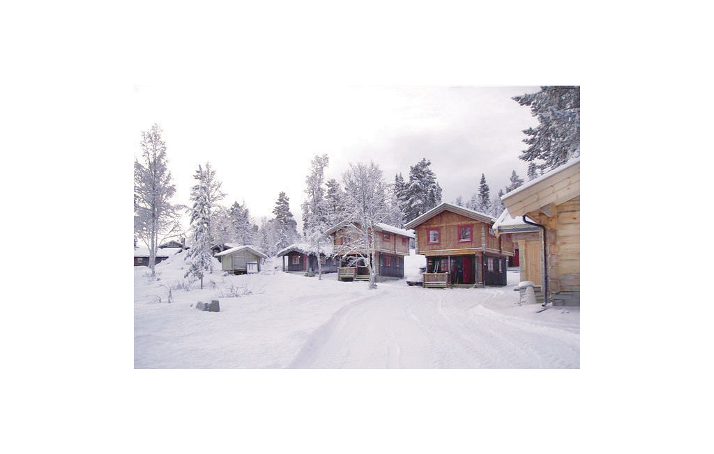 Feriehuse - Ringebu , Norge - N31862 10