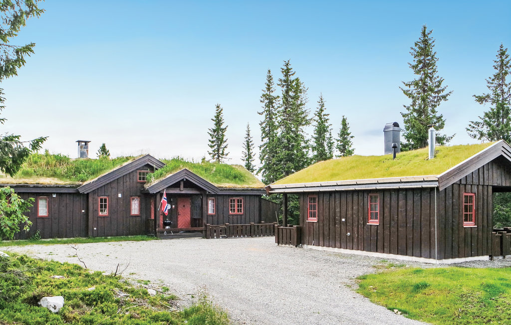 Ferienhaus - Nordseter/Lillehammer/Sjusjøen , Norwegen - N31983 1