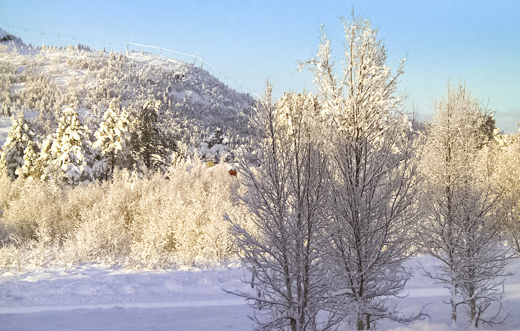 Semesterhus - Gålå , Norge - N31211 12