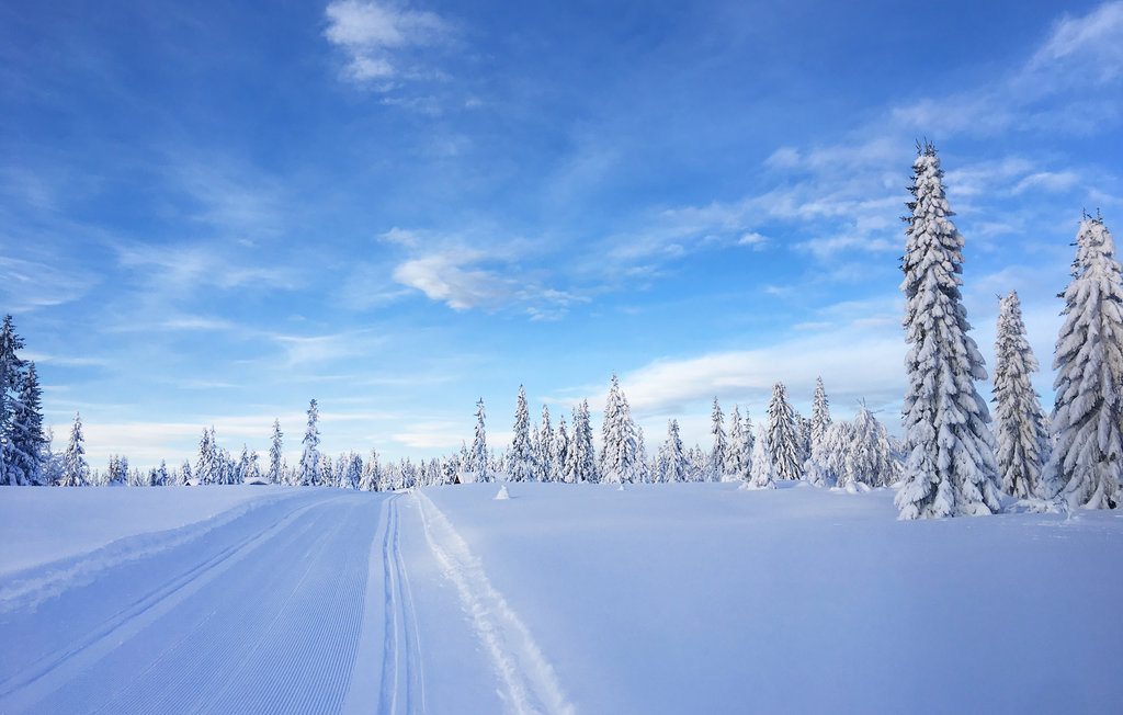 Feriehus - Sjusjøen , Norge - N31880 15