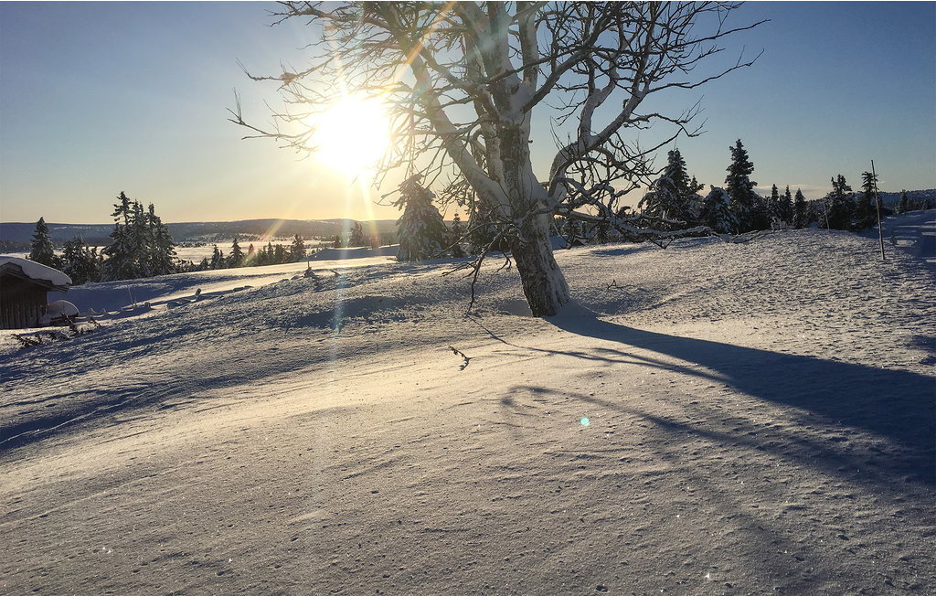Ferienwohnung - Sjusjøen , Norwegen - N31884 9