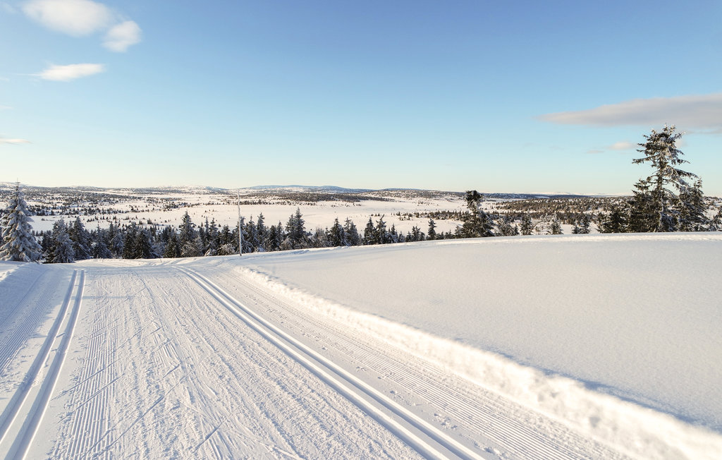 Feriehus - Nordseter/Lillehammer/Sjusjøen , Norge - N31960 24