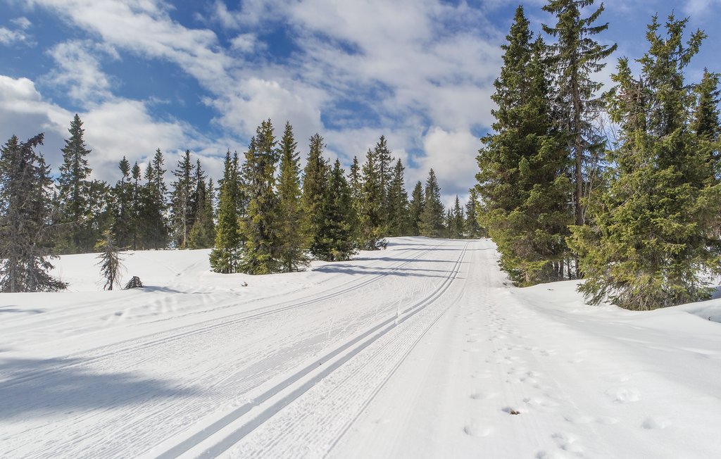Feriehuse - Sjusjøen , Norge - N31980 16