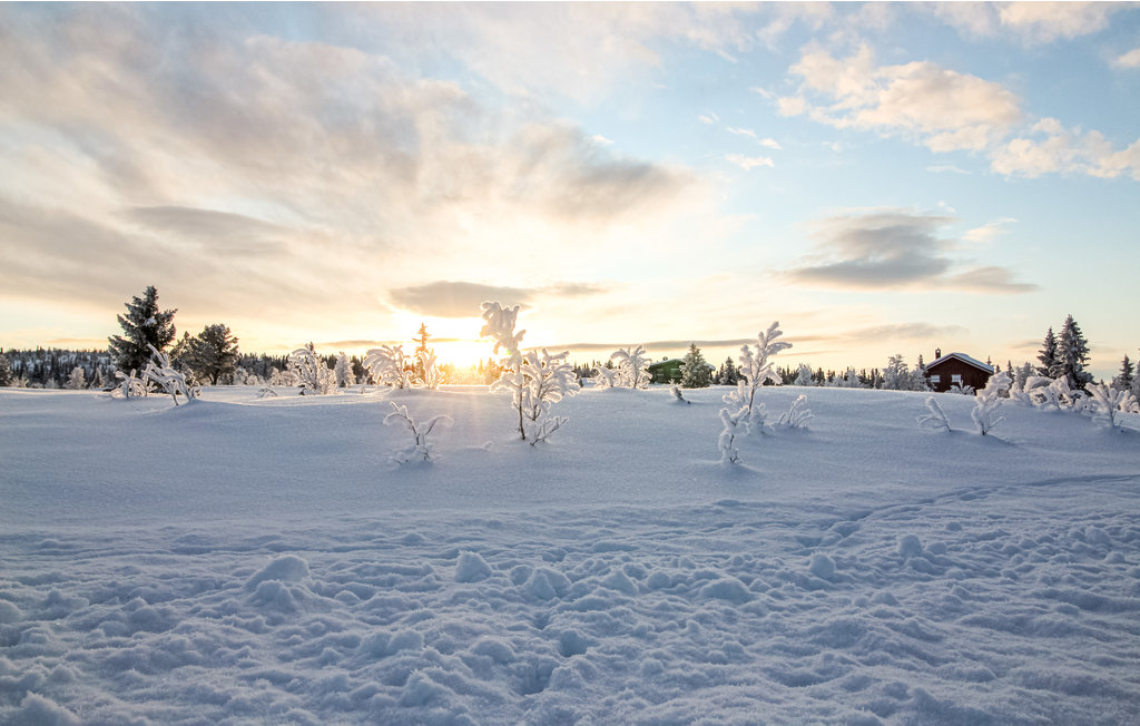 Feriehuse - Ringebu , Norge - N31861 27