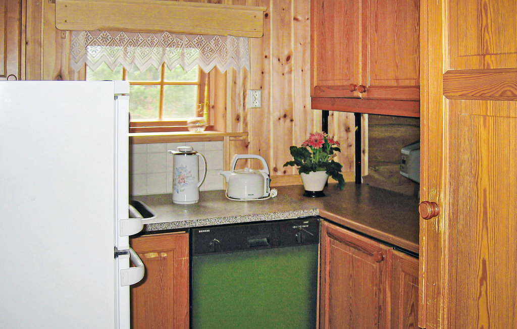 Feriehus - Lom/Skjerpingstad , Norge - N31141 3