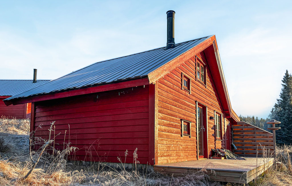 Feriehuse - Nordseter/Lillehammer/Sjusjøen , Norge - N31835 6