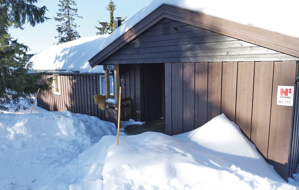 Semesterhus - Sjusjøen , Norge - N31997 10