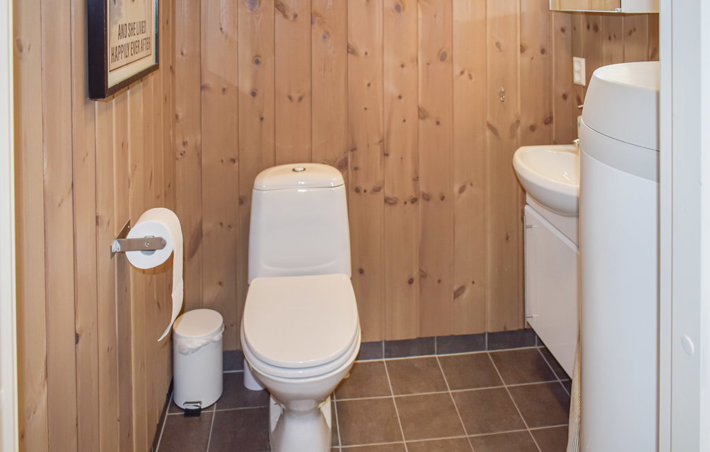 Ferienhaus - Hafjell , Norwegen - N31697 15