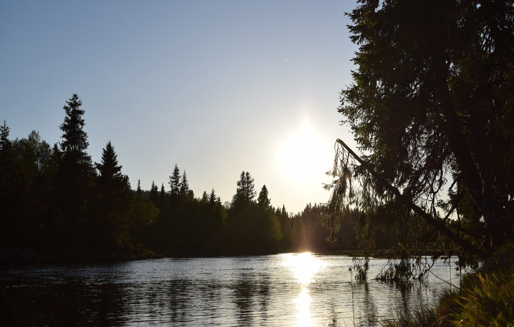 Lejlighed - Sjusjøen , Norge - N31856 11