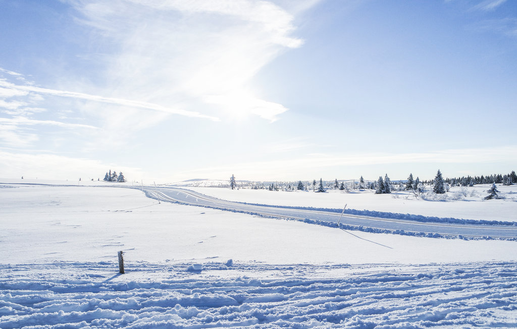 Feriehuse - Sjusjøen , Norge - N31882 15