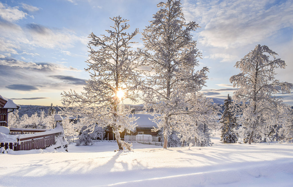 Ferienhaus - Venabygdsfjellet/Ringebu , Norwegen - N31355 24