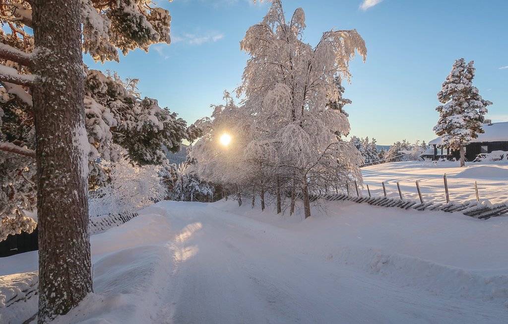 Feriehuse - Bakketun Heidal , Norge - N31130 47