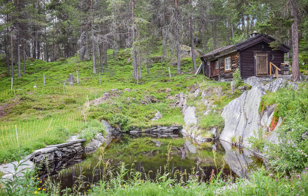 Feriehuse - Heidal , Norge - N31049 12