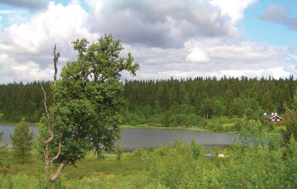 Feriehuse - Ringebu , Norge - N31861 2