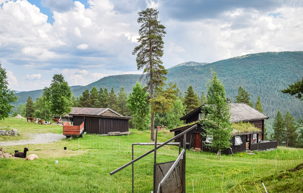 Feriehuse - Heidal , Norge - N31049 14