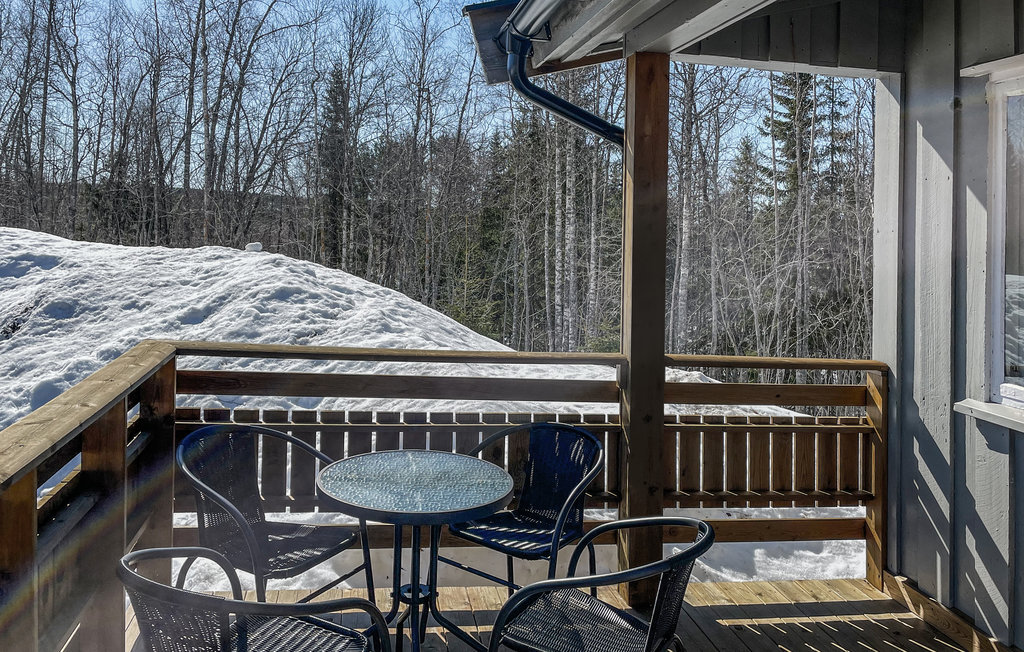 Domy wakacyjne - Mesnali/Sjusjøen , Norwegia - N31575 2