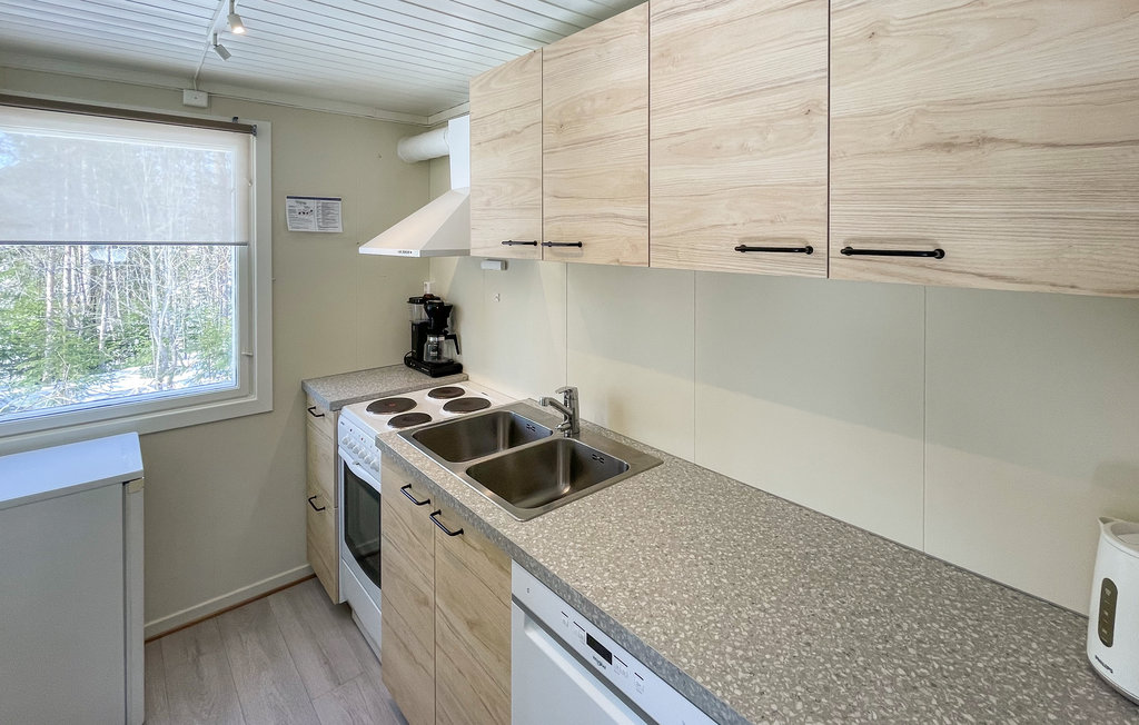 Domy wakacyjne - Mesnali/Sjusjøen , Norwegia - N31575 5