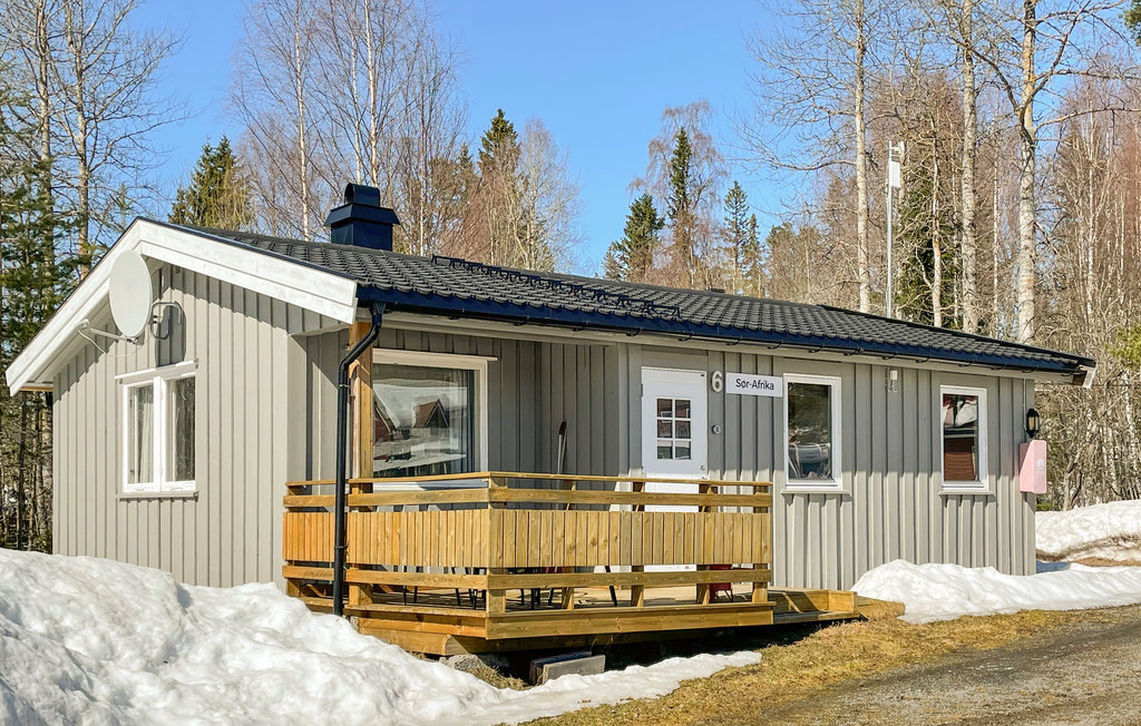 Domy wakacyjne - Mesnali/Sjusjøen , Norwegia - N31575 1