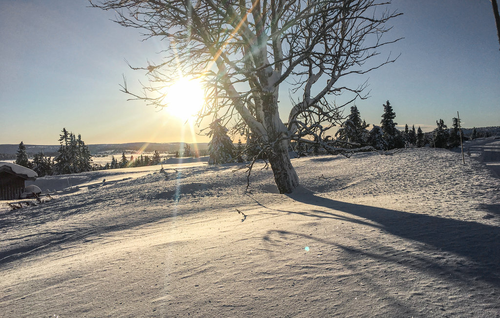 Feriehuse - Sjusjøen , Norge - N31874 8