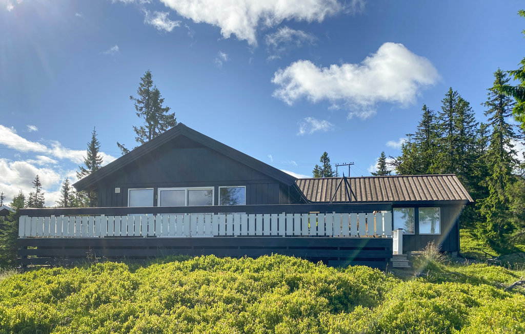 Feriehuse - Sjusjøen , Norge - N31874 12