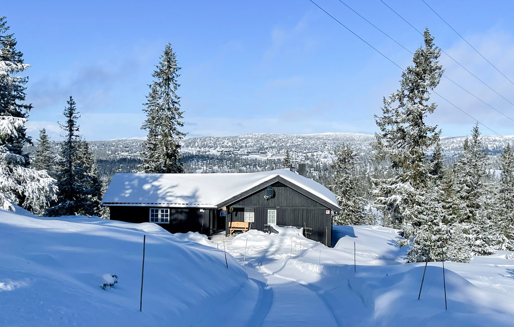 Feriehuse - Sjusjøen , Norge - N31874 11