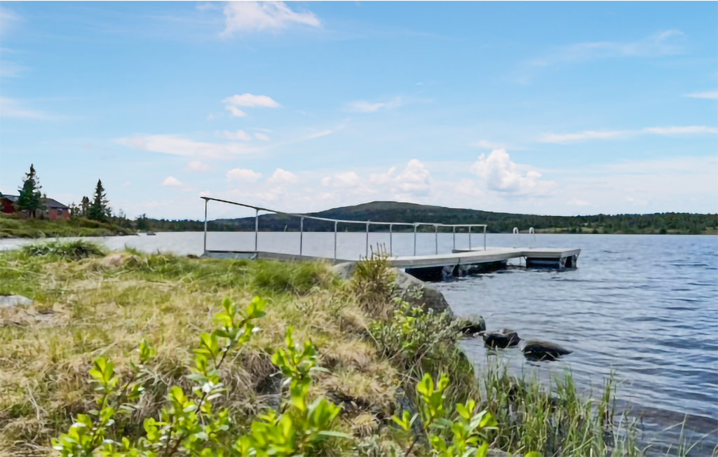 Feriehuse - Nordseter/Lillehammer/Sjusjøen , Norge - N31903 8