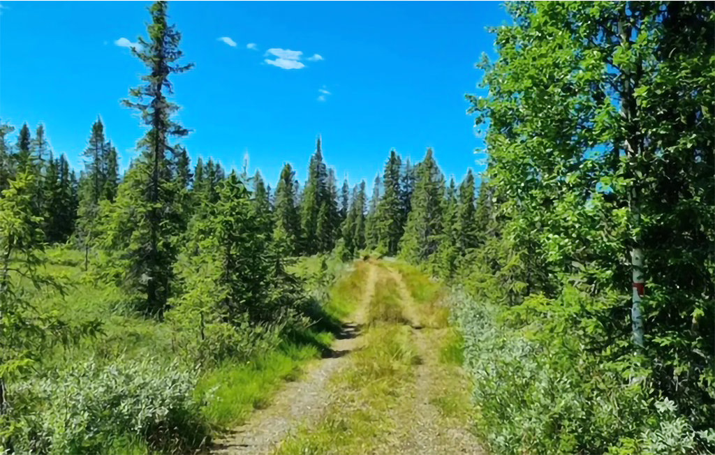 Feriehuse - Nordseter/Lillehammer/Sjusjøen , Norge - N31903 35