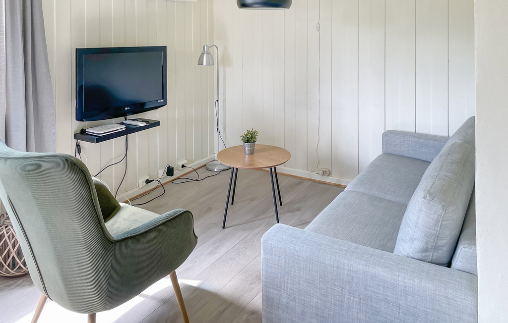 Domy wakacyjne - Mesnali/Sjusjøen , Norwegia - N31575 3