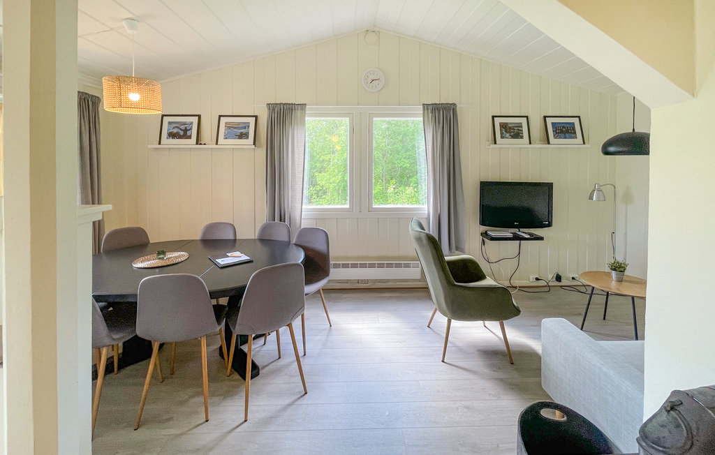 Domy wakacyjne - Mesnali/Sjusjøen , Norwegia - N31575 4