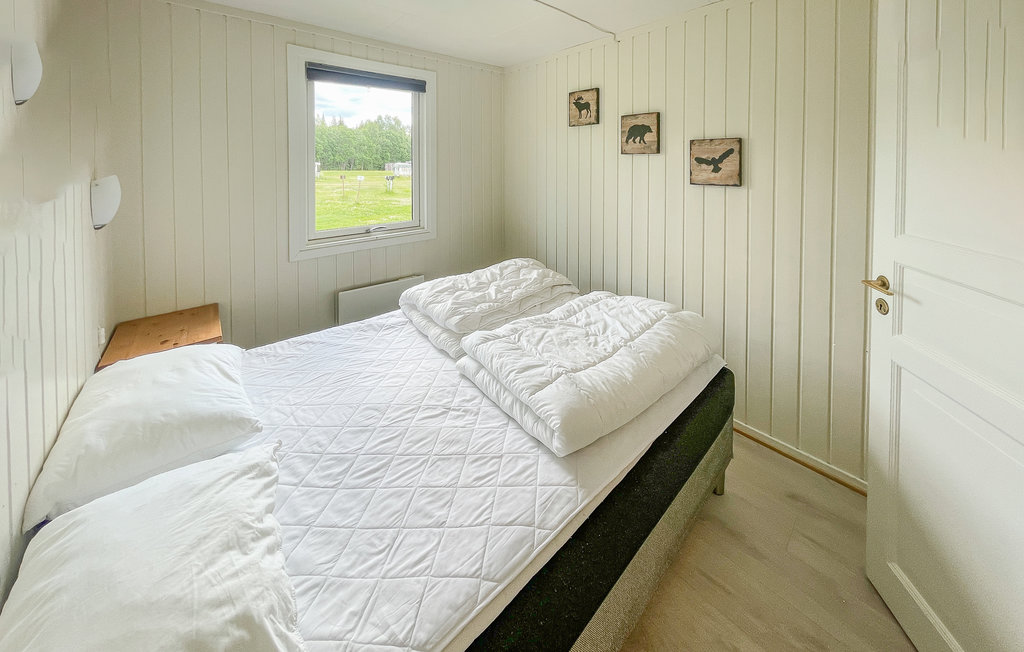 Domy wakacyjne - Mesnali/Sjusjøen , Norwegia - N31575 10