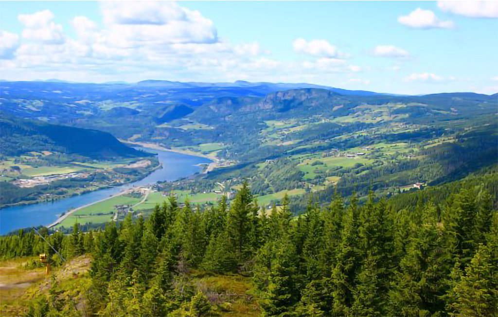 Feriehuse - Nordseter/Lillehammer/Sjusjøen , Norge - N31903 9