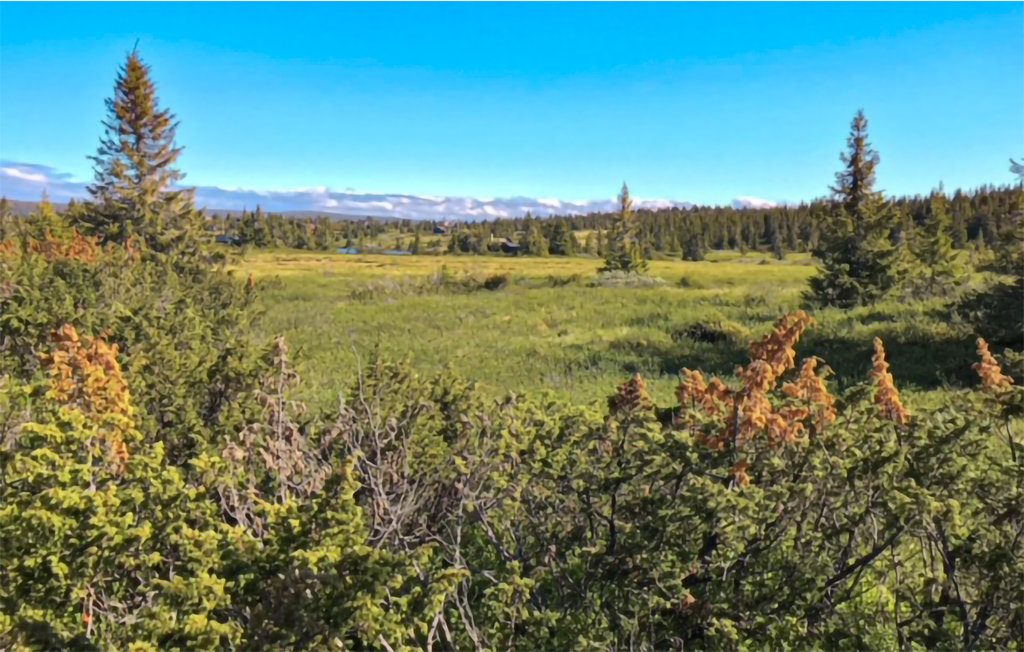 Feriehuse - Nordseter/Lillehammer/Sjusjøen , Norge - N31903 34