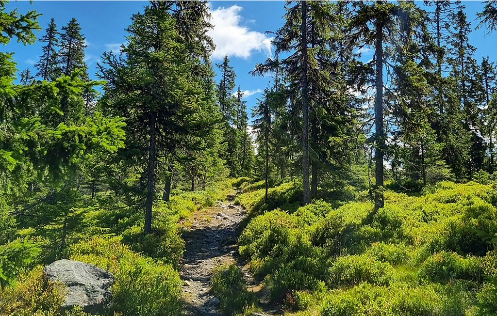 Feriehuse - Nordseter/Lillehammer/Sjusjøen , Norge - N31903 31