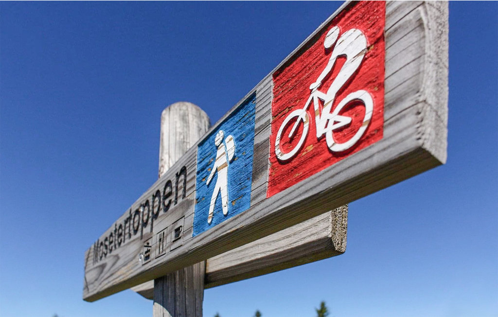 Feriehuse - Nordseter/Lillehammer/Sjusjøen , Norge - N31903 32