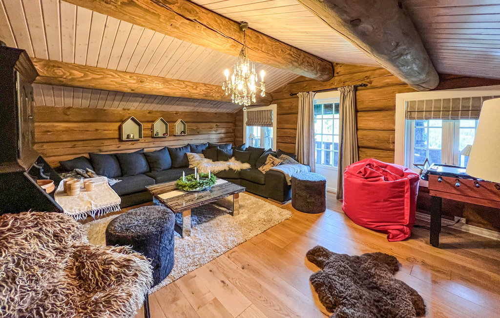 Domy wakacyjne - Synnfjell/Nord-Torpa , Norwegia - N31387 3