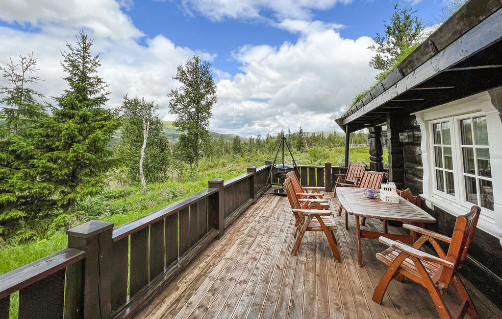 Domy wakacyjne - Synnfjell/Nord-Torpa , Norwegia - N31387 2