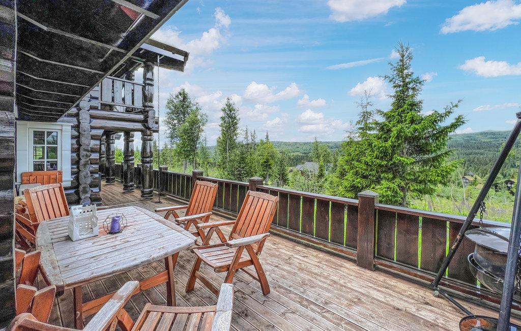 Domy wakacyjne - Synnfjell/Nord-Torpa , Norwegia - N31387 9